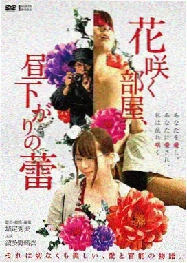 兄妹情深·归途